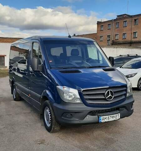 Синий Мерседес Sprinter, объемом двигателя 0 л и пробегом 304 тыс. км за 23500 $, фото 10 на Automoto.ua