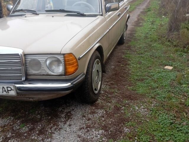 Бежевый Мерседес Варио, объемом двигателя 0 л и пробегом 300 тыс. км за 2000 $, фото 1 на Automoto.ua