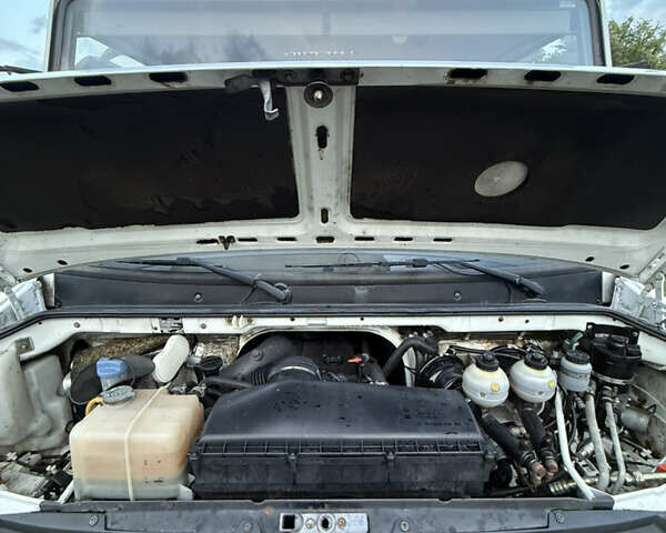 Мерседес Варио, объемом двигателя 4.2 л и пробегом 111 тыс. км за 24500 $, фото 22 на Automoto.ua