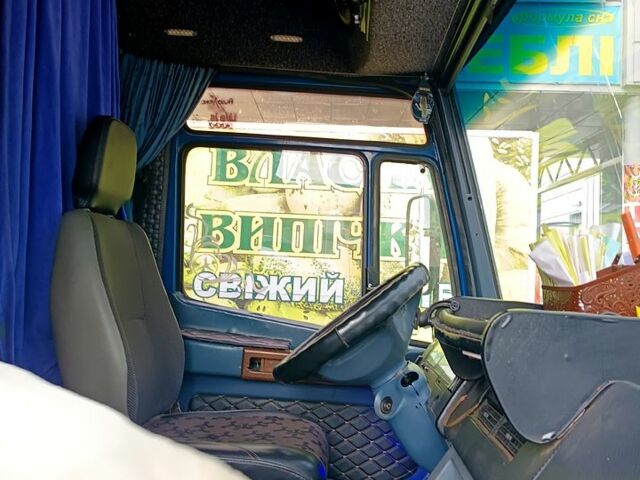 Синий Мерседес Варио, объемом двигателя 4.3 л и пробегом 264 тыс. км за 12000 $, фото 6 на Automoto.ua