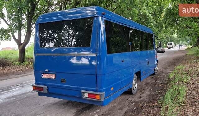 Синий Мерседес Варио, объемом двигателя 4.3 л и пробегом 432 тыс. км за 51900 $, фото 9 на Automoto.ua