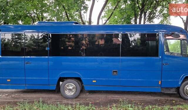 Синий Мерседес Варио, объемом двигателя 4.3 л и пробегом 432 тыс. км за 51900 $, фото 11 на Automoto.ua