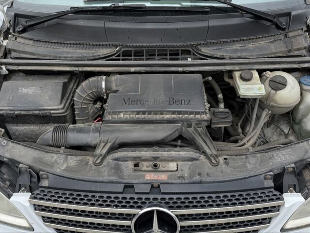 Мерседес Вито 2007 в Хмельницком на Automoto.ua Белый Мерседес Вито, объемом двигателя 2.2 л и пробегом 264 тыс. км за 8000 $, фото 5 на Automoto.ua