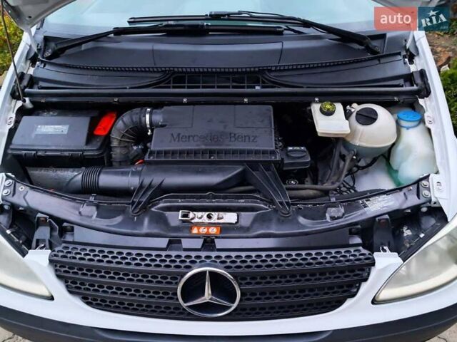 Мерседес Вито 2008 в Хмельницком на Automoto.ua Белый Мерседес Вито, объемом двигателя 2.2 л и пробегом 311 тыс. км за 5999 $, фото 15 на Automoto.ua