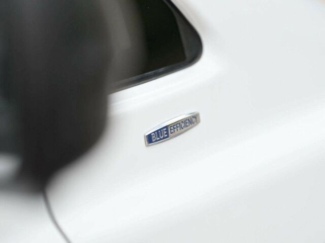 Мерседес Вито 2011 в Кременчуге на Automoto.ua Белый Мерседес Вито, объемом двигателя 2.2 л и пробегом 203 тыс. км за 8950 $, фото 20 на Automoto.ua