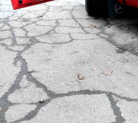 Красный Мерседес Вито, объемом двигателя 2.2 л и пробегом 267 тыс. км за 5300 $, фото 6 на Automoto.ua