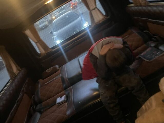 Синий Мерседес Вито, объемом двигателя 0 л и пробегом 390 тыс. км за 7999 $, фото 13 на Automoto.ua