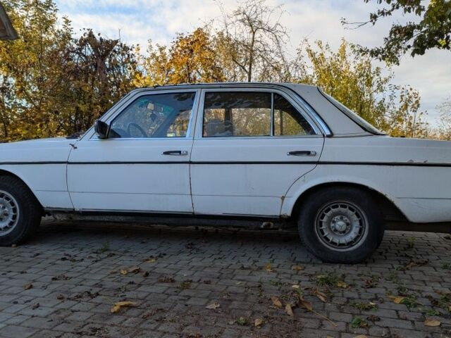 Білий Мерседес В123, об'ємом двигуна 2 л та пробігом 446 тис. км за 1999 $, фото 1 на Automoto.ua