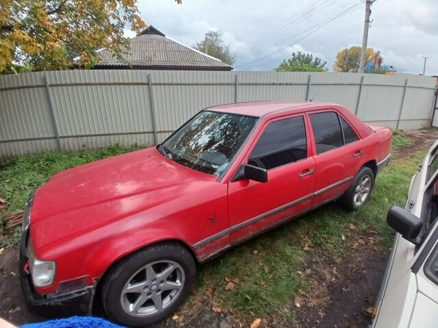 Мерседес В124 1989 в Борисполе на Automoto.ua Красный Мерседес В124, объемом двигателя 2.3 л и пробегом 300 тыс. км за 1400 $, фото 1 на Automoto.ua