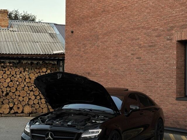 Черный Мерседес CLS серия, объемом двигателя 4.7 л и пробегом 253 тыс. км за 20000 $, фото 21 на Automoto.ua