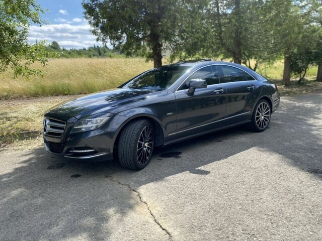 Серый Мерседес CLS серия, объемом двигателя 3 л и пробегом 310 тыс. км за 21602 $, фото 6 на Automoto.ua