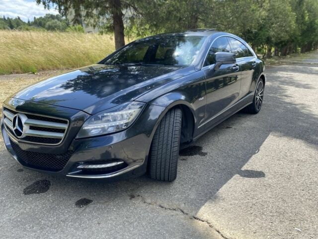 Серый Мерседес CLS серия, объемом двигателя 3 л и пробегом 310 тыс. км за 21602 $, фото 4 на Automoto.ua