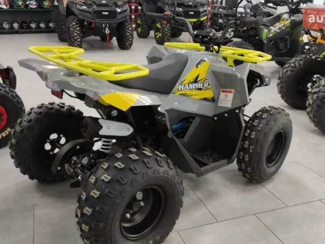 купити нове авто Мікілон Hammer 125 2024 року від офіційного дилера Мотосалон Артмото Мікілон фото