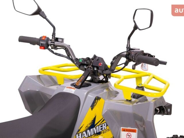 Микилон Hammer 125, объемом двигателя 0.13 л и пробегом 0 тыс. км за 1354 $, фото 11 на Automoto.ua