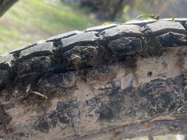 Минск Другая, объемом двигателя 0.13 л и пробегом 0 тыс. км за 311 $, фото 1 на Automoto.ua