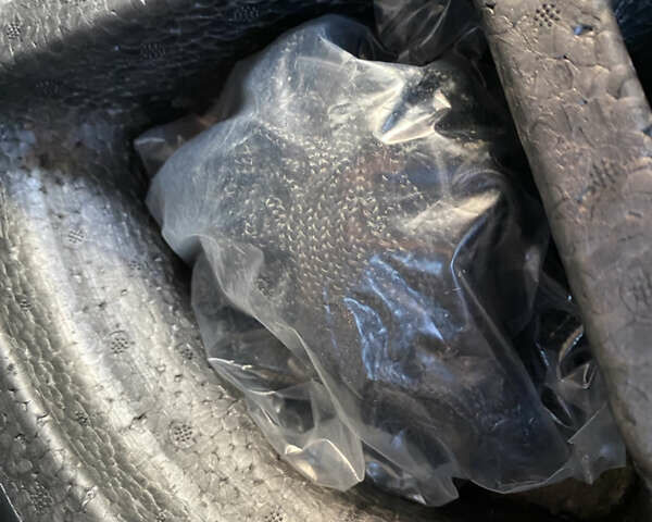 Міцубісі Кольт 2006 у Одесі на Automoto.ua Сірий Міцубісі Кольт, об'ємом двигуна 1.33 л та пробігом 66 тис. км за 4900 $, фото 66 на Automoto.ua