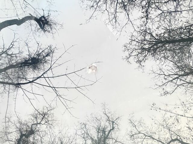 Серый Мицубиси Кольт, объемом двигателя 1.3 л и пробегом 340 тыс. км за 5000 $, фото 7 на Automoto.ua