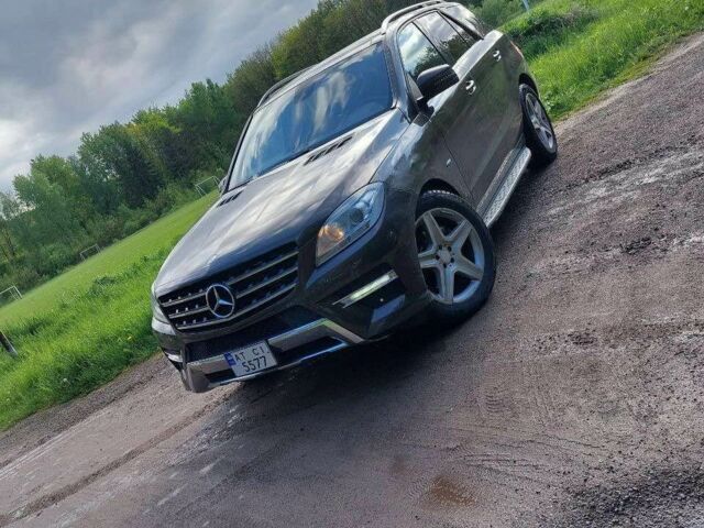 Мицубиси Другая 2012 в Рожнятове на Automoto.ua Коричневый Мицубиси Другая, объемом двигателя 3 л и пробегом 244 тыс. км за 18500 $, фото 6 на Automoto.ua