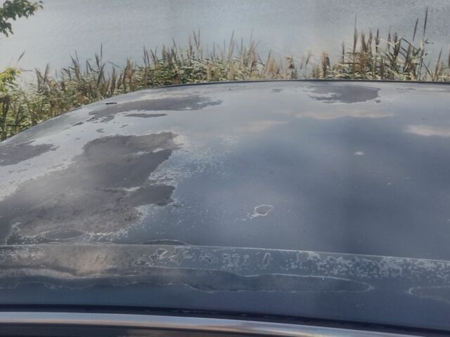 Зеленый Мицубиси Галант, объемом двигателя 0 л и пробегом 222 тыс. км за 1999 $, фото 6 на Automoto.ua