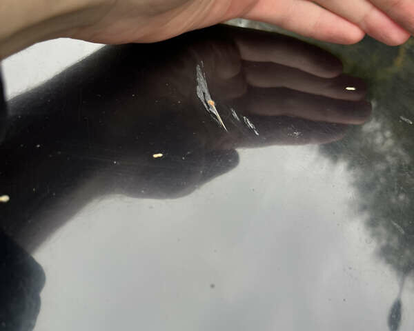 Чорний Міцубісі Lancer, об'ємом двигуна 1.58 л та пробігом 192 тис. км за 4500 $, фото 27 на Automoto.ua