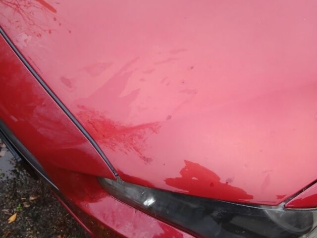 Червоний Міцубісі Lancer, об'ємом двигуна 2 л та пробігом 2 тис. км за 6200 $, фото 2 на Automoto.ua