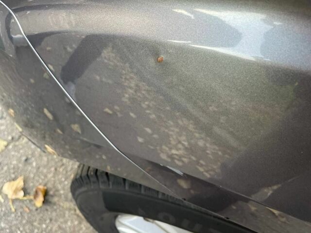 Серый Мицубиси Аутлендер, объемом двигателя 2.4 л и пробегом 138 тыс. км за 9000 $, фото 7 на Automoto.ua