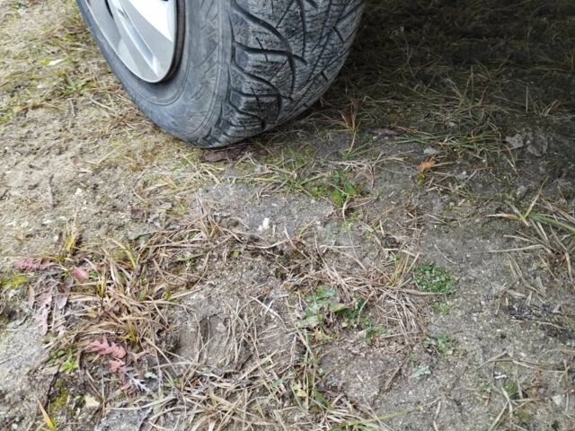 Білий Москвич / АЗЛК 2141, об'ємом двигуна 1.5 л та пробігом 173 тис. км за 970 $, фото 11 на Automoto.ua