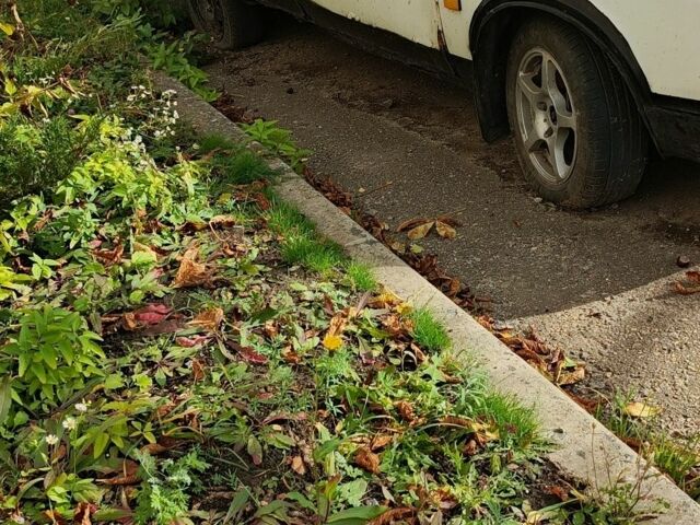 Белый Москвич / АЗЛК 2141, объемом двигателя 1 л и пробегом 1000 тыс. км за 250 $, фото 3 на Automoto.ua