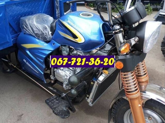 Муравей 6510, объемом двигателя 0.25 л и пробегом 0 тыс. км за 2650 $, фото 2 на Automoto.ua