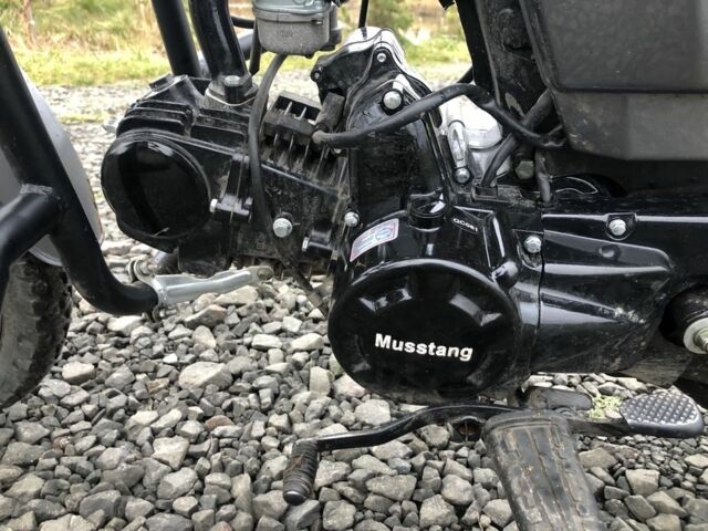 Мустанг Альфа, об'ємом двигуна 0.13 л та пробігом 0 тис. км за 570 $, фото 3 на Automoto.ua