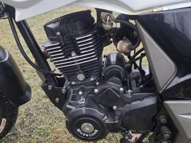 Мустанг MT, об'ємом двигуна 0.15 л та пробігом 0 тис. км за 712 $, фото 7 на Automoto.ua