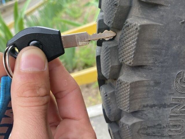 Мустанг Інша, об'ємом двигуна 0.25 л та пробігом 0 тис. км за 1200 $, фото 9 на Automoto.ua
