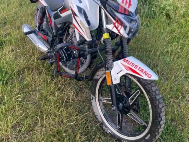 Мустанг Інша, об'ємом двигуна 0.2 л та пробігом 0 тис. км за 800 $, фото 3 на Automoto.ua