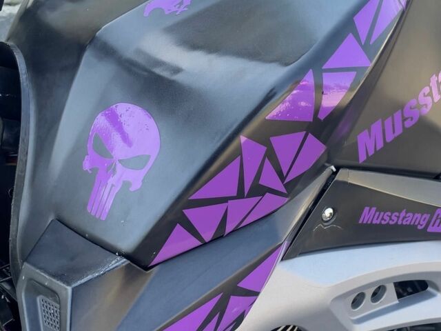 Мустанг Другая, объемом двигателя 0.2 л и пробегом 0 тыс. км за 1062 $, фото 4 на Automoto.ua