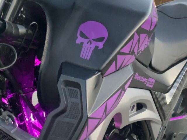 Мустанг Другая, объемом двигателя 0.2 л и пробегом 0 тыс. км за 1062 $, фото 9 на Automoto.ua