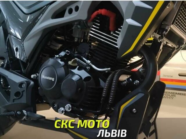 Мустанг Другая, объемом двигателя 0.2 л и пробегом 0 тыс. км за 1260 $, фото 4 на Automoto.ua