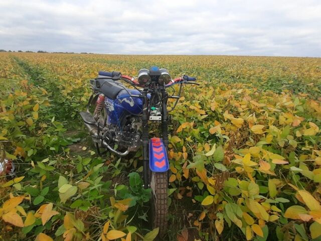 Мустанг Другая, объемом двигателя 0.13 л и пробегом 0 тыс. км за 238 $, фото 2 на Automoto.ua