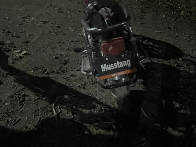 Мустанг Другая, объемом двигателя 0.11 л и пробегом 0 тыс. км за 289 $, фото 4 на Automoto.ua