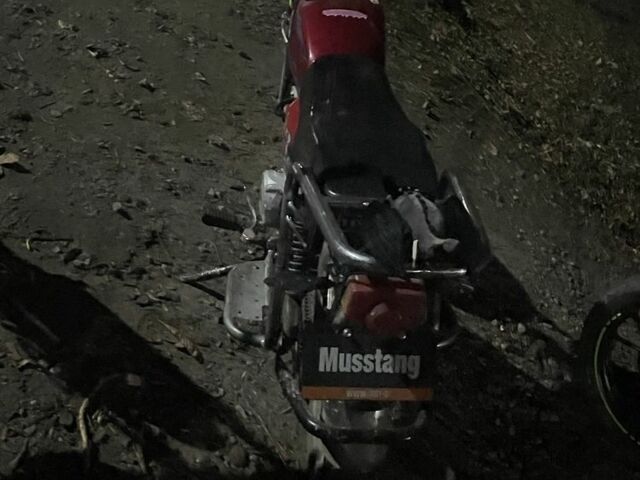 Мустанг Другая, объемом двигателя 0.11 л и пробегом 0 тыс. км за 289 $, фото 6 на Automoto.ua