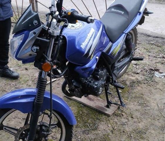 Мустанг Другая 2019 в Вольногорске на Automoto.ua Мустанг Другая, объемом двигателя 0.15 л и пробегом 0 тыс. км за 720 $, фото 4 на Automoto.ua