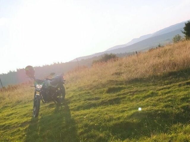 Мустанг Другая, объемом двигателя 0.15 л и пробегом 0 тыс. км за 750 $, фото 7 на Automoto.ua