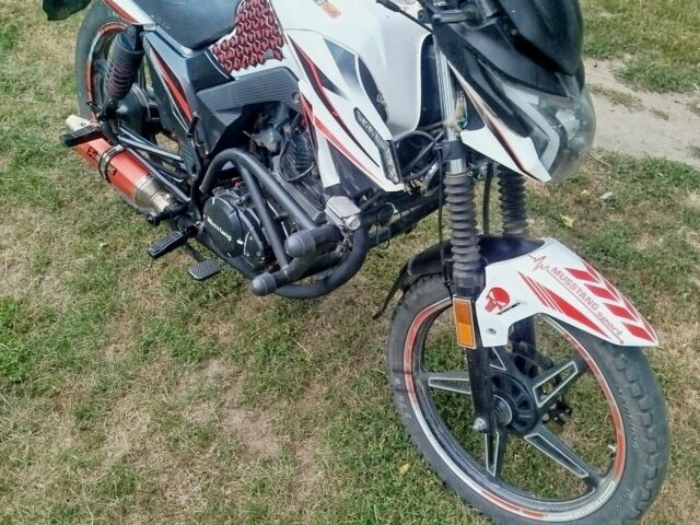 Мустанг Другая 2021 в Владимир-Волынский на Automoto.ua Мустанг Другая, объемом двигателя 0.2 л и пробегом 0 тыс. км за 503 $, фото 1 на Automoto.ua