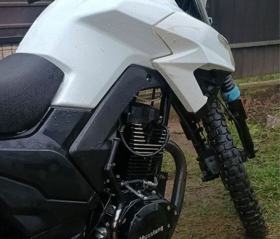 Мустанг Другая, объемом двигателя 0.2 л и пробегом 0 тыс. км за 781 $, фото 5 на Automoto.ua