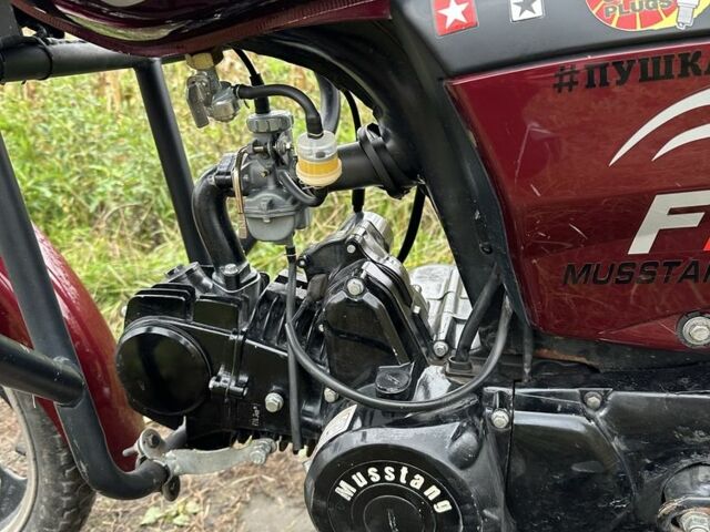 Мустанг Другая, объемом двигателя 0.13 л и пробегом 0 тыс. км за 529 $, фото 3 на Automoto.ua