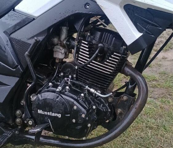 Мустанг Другая, объемом двигателя 0.2 л и пробегом 0 тыс. км за 781 $, фото 4 на Automoto.ua