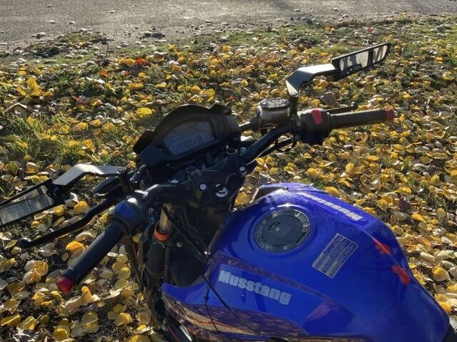 Мустанг Інша, об'ємом двигуна 0.2 л та пробігом 0 тис. км за 716 $, фото 3 на Automoto.ua