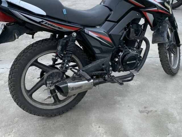 Мустанг Другая 2023 в Ровно на Automoto.ua Мустанг Другая, объемом двигателя 0.2 л и пробегом 0 тыс. км за 725 $, фото 4 на Automoto.ua