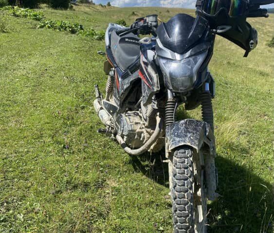 Мустанг Інша, об'ємом двигуна 0.2 л та пробігом 0 тис. км за 833 $, фото 3 на Automoto.ua