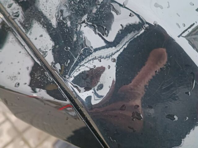 Мустанг Інша, об'ємом двигуна 0.23 л та пробігом 0 тис. км за 950 $, фото 12 на Automoto.ua