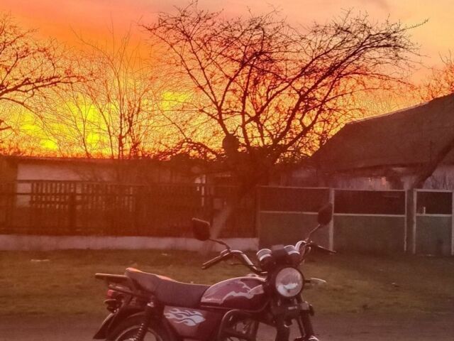 Мустанг Інша, об'ємом двигуна 0.13 л та пробігом 0 тис. км за 592 $, фото 4 на Automoto.ua